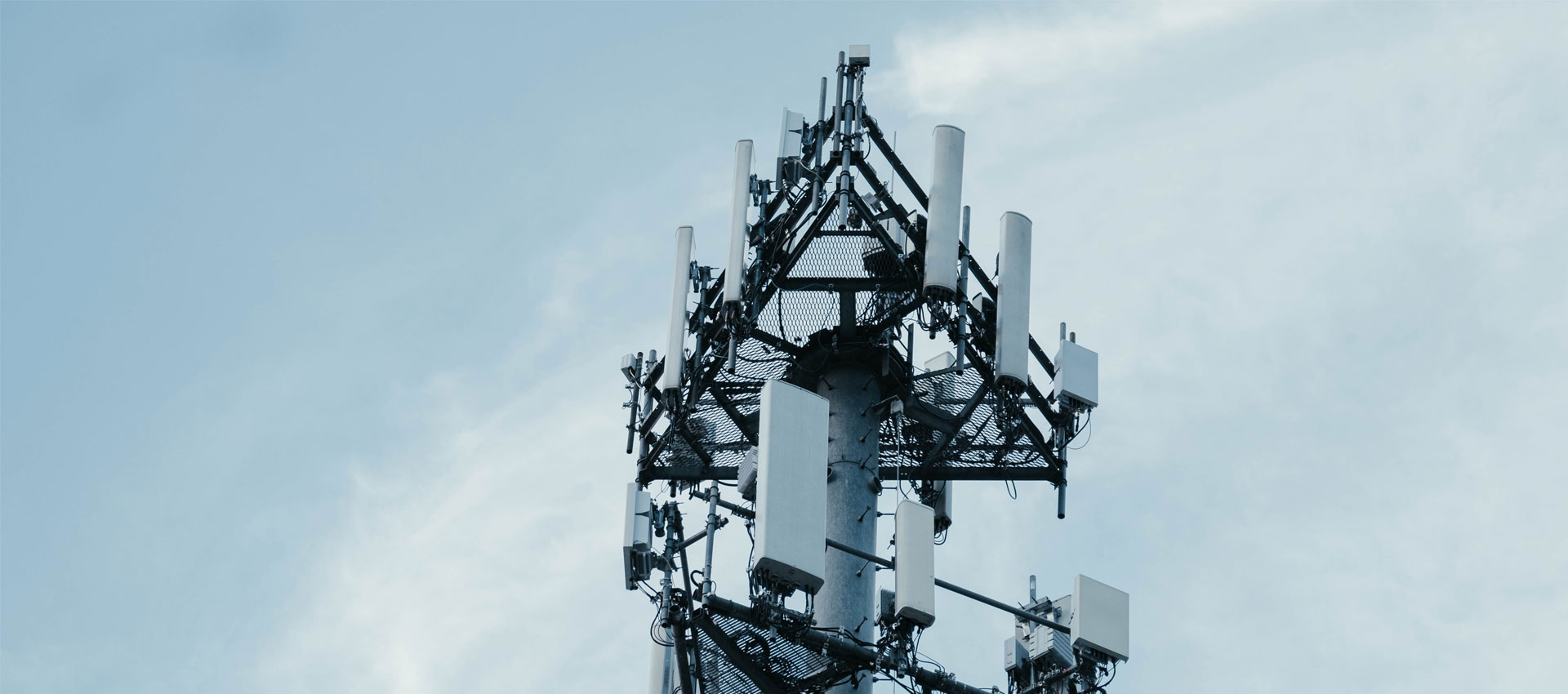 COMPLETE VARIETY OF OUR PRODUCTS